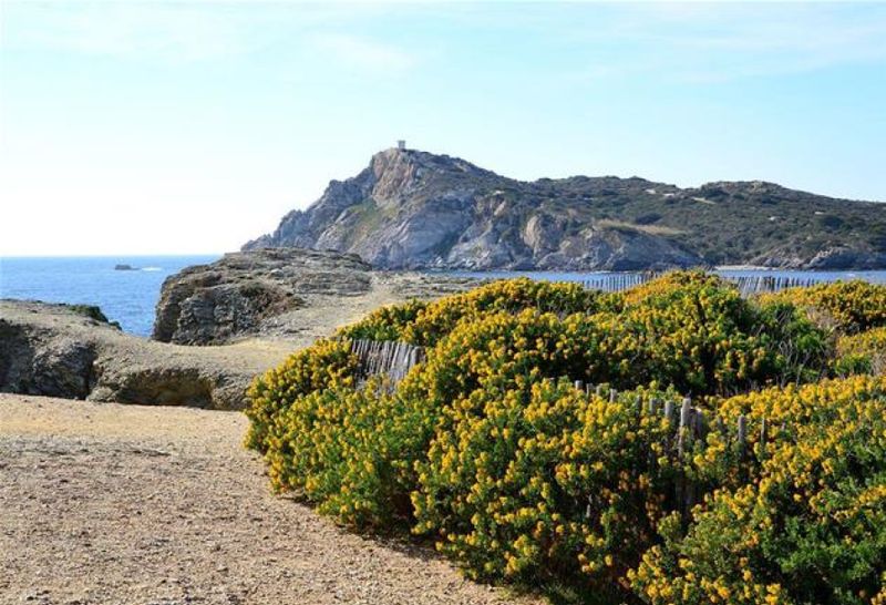 L'île des Embiez Toulon
