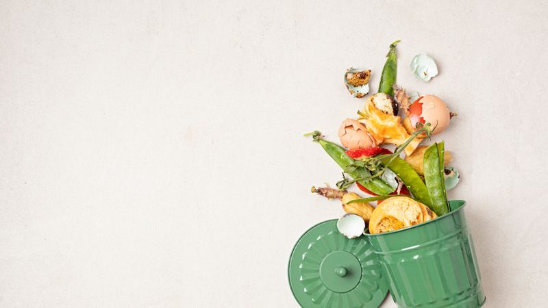compost